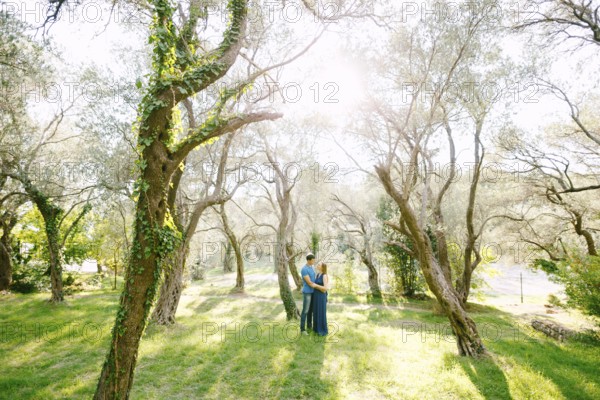 Man hugs pregnant woman in a beautiful park of green olive trees entwined with ivy on a sunny day.