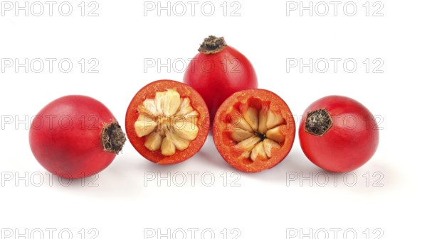 Rosehips (Rosa Canina fruits), one cut in half isolated on white background, Liptovsky Hradok, Slovakia, Europe