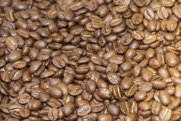 Coffee beans texture or coffee beans background