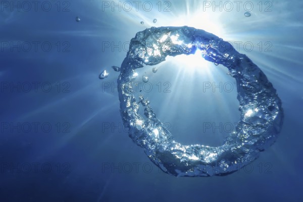 Underwater Bubble Ring Ascends towards the Sun