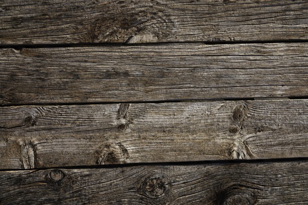 Grunge weathered wooden board of gray wood of pine