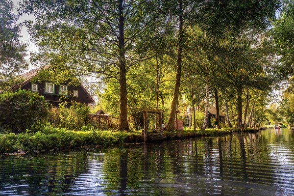 Main Spree, dwelling house with fish box, village exit downstream towards Lübbenau, river Spree, Lehde, Brandenburg, Spreewald, Germany, Europe