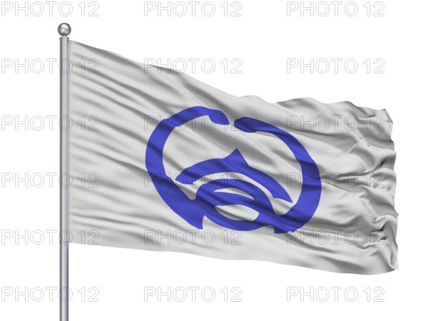 Takahama City Flag On Flagpole, Country Japan, Aichi Prefecture, Isolated On White Background