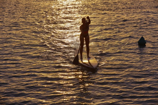 SUP Stand up Surf girl with paddle at sunset