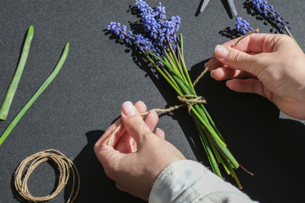 Female hands collect bouquet of blue muscari as a gift. Pruning flowers. Local small business Florist in flower shop. Eco-style. Florist at work workspace. Woman making bouquet