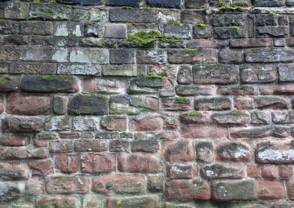 Full frame image of an ancient sandstone wall in red and black colors with sodd and algae growing on the surface
