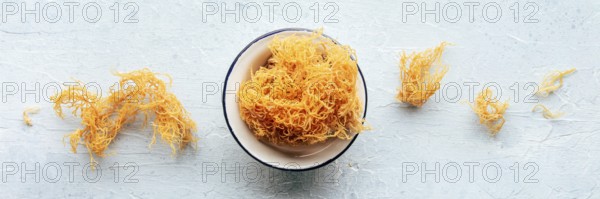 Irish sea moss panorama. Chondrus Crispus, healthy organic raw seaweed, overhead flat lay panoramic shot, Food photography, Food photography