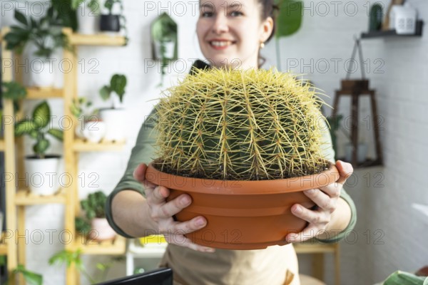 Large echinocactus Gruzoni in the hands of a woman in the interior of a green house with shelving collections of domestic plants. Home crop production, plant breeder admiring a cactus in a pot