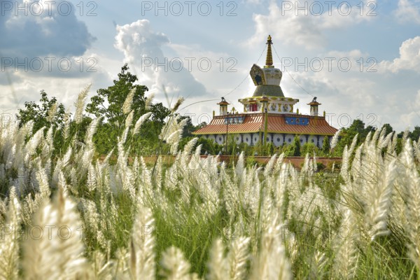 A Buddhist temple at Lumbini, Nepal, the birth place of Buddha, Asia
