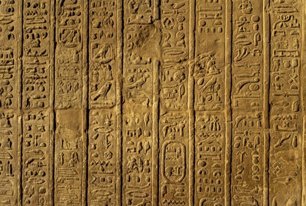 Ancient egypt images and hieroglyphics on wall