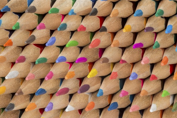 Abstract composition of a set cedar wooden colour pencils