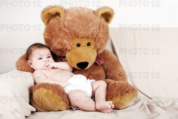 Cute Caucasian Hispanic unisex baby in the arms of a big brown stuffed teddy bear on the couch, New York, USA, North America
