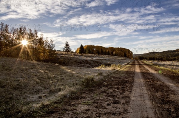 Autumn Colors Cypress Hills Canada interprovincial Park