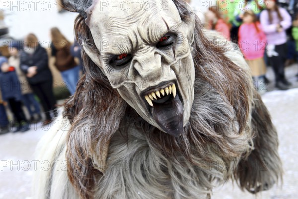 Large Swabian-Alemannic carnival parade