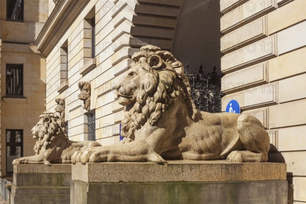 Lion statue at Hamburg City Hall, Hamburg, Germany, Europe