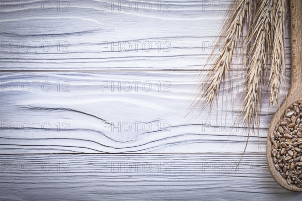 Ripe wheat and rye ears wooden spoon corn on wood board copy space