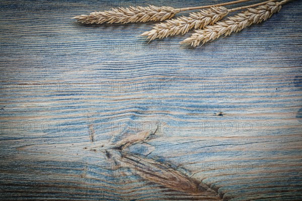 Ripe wheat rye ears on vintage wooden board top view