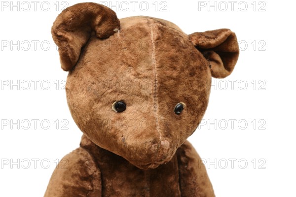 Closeup of the head of a shabby teddy bear toy on a white background