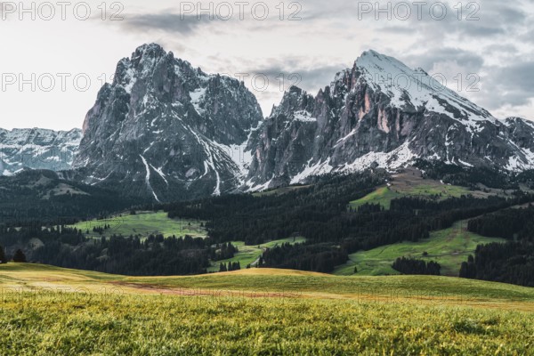 Panoramic view of the Langkofel Group from Seiser Alm in the Dolomites in South Tyrol, Italy, Europe