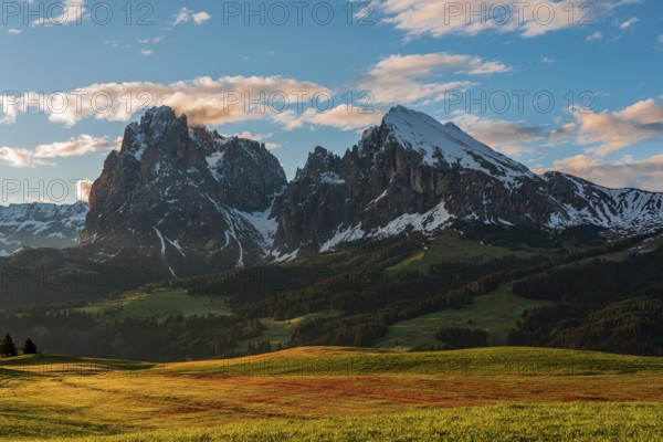 Panoramic view of the Langkofel Group from Seiser Alm in the Dolomites in South Tyrol, Italy, Europe