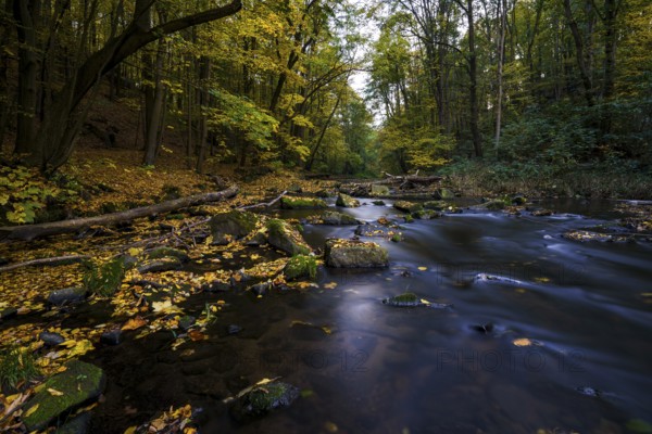 Autumn magic on a river landscape in Lusatia - the Löbauer Wasser 17
