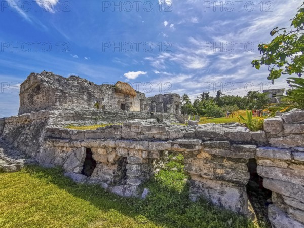 Ancient Tulum ruins Mayan site with temple ruins pyramids and artifacts in the tropical natural jungle forest palm and seascape panorama view in Tulum Mexico