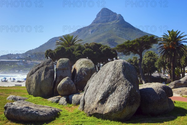 Promenade and beach in fabulous port city. Cape Town at the foot of Table Mountain. Coastline, beach and cliffs. The concept of active, exotic and photo tourism
