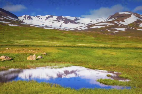 Summer Iceland. The hills are covered with snow and are reflected in a small lake. The fields overgrown with fresh green grass