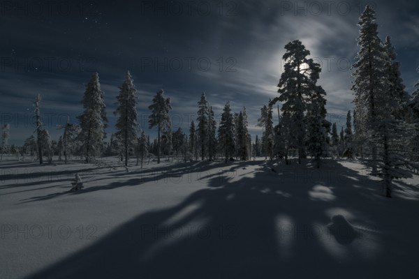 Moonlit winter landscape, Muddsus Nationalaprk, Laponia World Heritage Site, Lapland, Sweden, November 2017, Europe