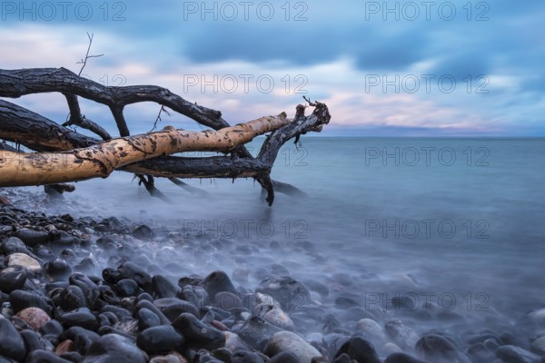 Baltic Sea coast on the island of Mön in Denmark