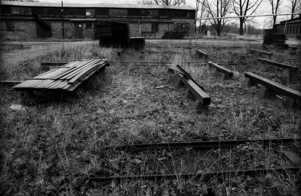 Germany, Sternberg, 12.01.1992, almost disused timber factory, Sternberg / Mecklenburg, Europe