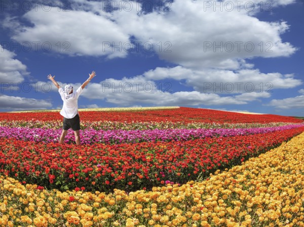 Enthusiastic tourist threw up his hands. Bright festive red blooming field of buttercups. Warm spring day