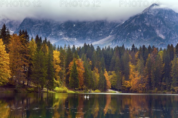 The Dolomites are covered with clouds. Orange and yellow trees are reflected in the green smooth water. Lake Fuzine in Northern Italy. Magnificent colors of autumn