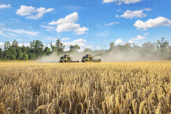 Two harvesters in a wheat field and blue cloudy sky