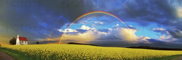 Panorama, chapel and rainbow over a rapeseed field