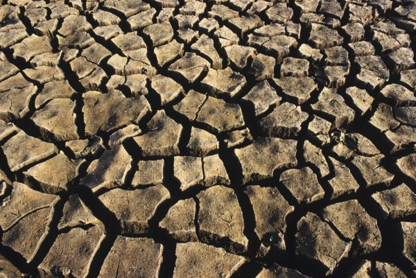 Cracked on earth, clay pattern, prismatic structures in soil, drought