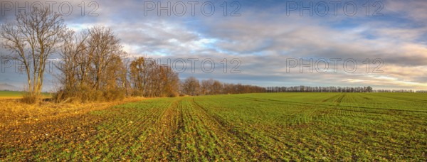 Autumn morning landscape over the city of Louny. Autumn sown field at amazing sunrise. Czech Republic. Panorama image