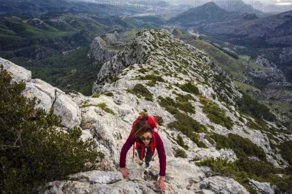 Hiker ascending Puig Galatzo, dry stone path, GR221, Calvia, Natural area of the Serra de Tramuntana, Majorca, Spain, Europe