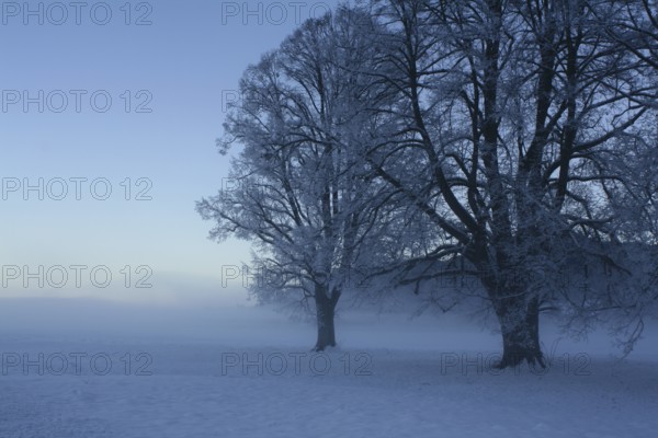 Winter scene.A landscape in Alps. Near Fuessen, Germany, Europe