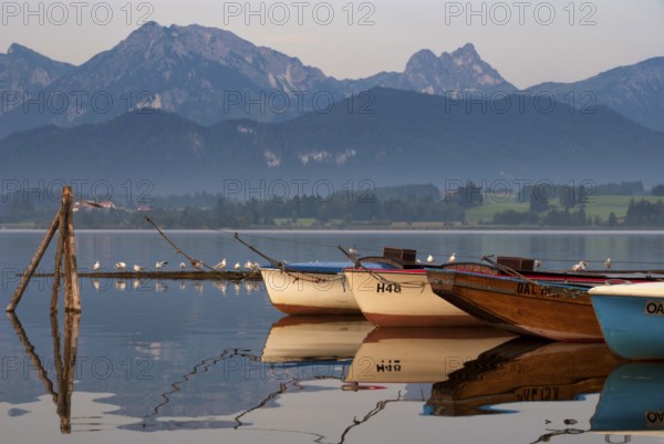 Boats in lake Hopfensee near Hopfen am See in the German state Bavaria