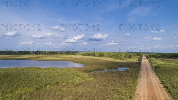 Aerial view of Transpantaneira dirt road along a typical lagoon and meadow landscape, with blue sky, Pantanal Wetlands, Mato Grosso, Brazil, South America