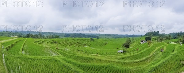 Panorama view on rice terraces Jatiluwih, Bali, Indonesia, Asia