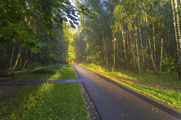 Moscow, Russia, August 28, 2020: People walk along a footpath in a forest park, beautifully lit by the evening sun. Moscow, Russia, Europe
