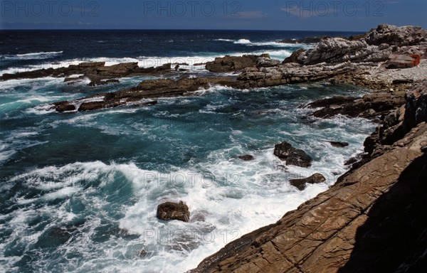 Rugged rocky coast, South Africa, Tsitsikamma National Park, Otter trail, Africa