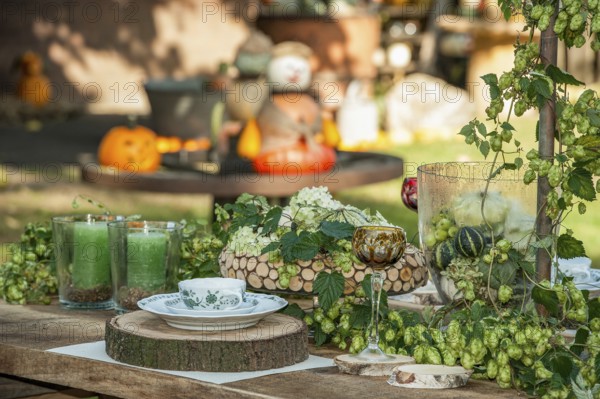 Autumnal decorated table with candles, flowers and vegetables outdoors, borken, münsterland, germany