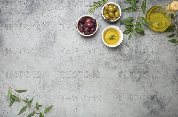 Composition with green and brown olives, extra virgin olive oil in glass bottle, olive tree branches on gray concrete stone rustic background overhead, copy space border, food photography, food photography