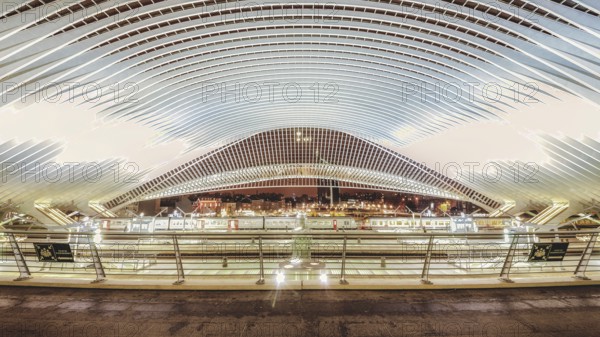 Wide, illuminated station interior at night, characterised by modern structures, Liège-Guillemins station, Liège-Guillemins, Belgium, Europe
