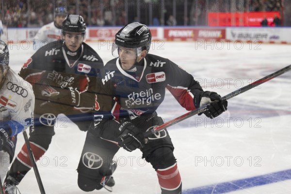 LanxessArena, North Rhine-Westphalia, Robin van Calster (Cologne Sharks, #5), PENNY DEL, Cologne Sharks-ERC Ingolstadt on 22/11/2024 at the LanxessArena in Cologne Germany
