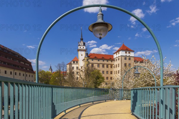 Torgau