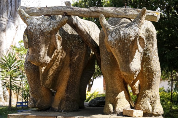 Close-up of a stone sculpture with two draught oxen under yoke in light and shadow, Barichara, Colombia, South America
